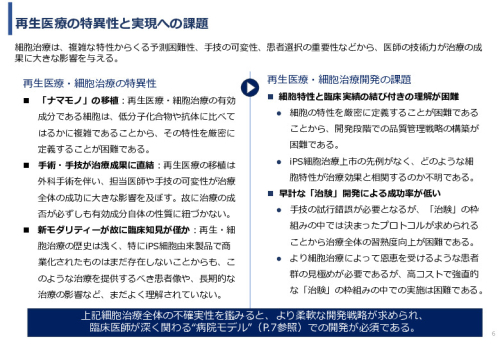 令和６年度「網膜再生医療の国内外の普及に向けた医療プラットフォーム構築事業」事業報告書